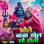 Bhole Baba Khel Rahe Holi