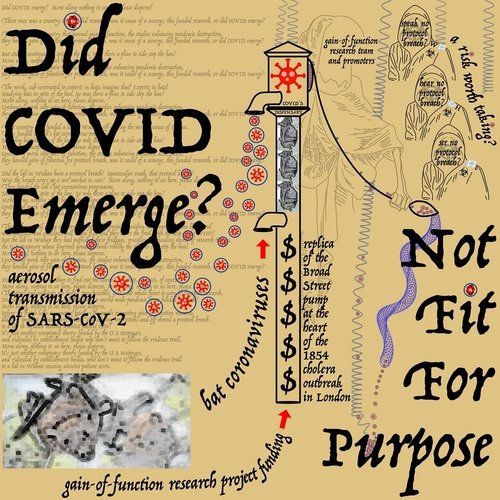 Did COVID Emerge?