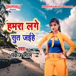 Hamara Lage Sut Jaihe