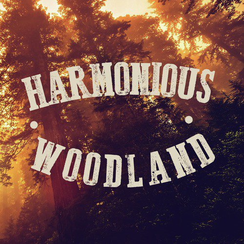 Harmonious Woodland
