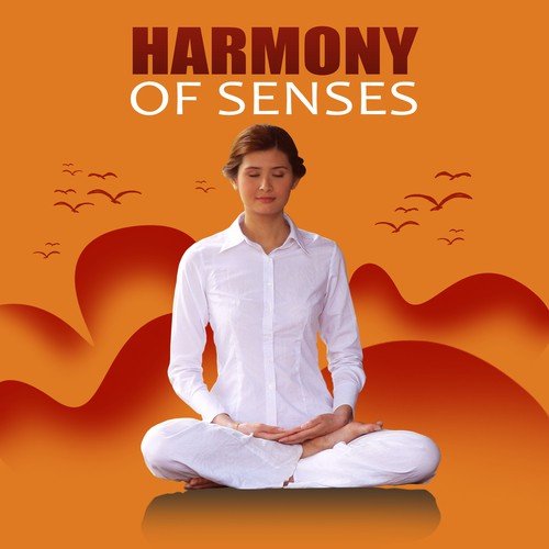 Harmony of Senses - Relaxing Nature Sounds, Calm Music for Meditation, Yoga Poses, Harmony of Senses, Stress Relief, Ocean Waves Sound, Deep Sounds for Relaxation