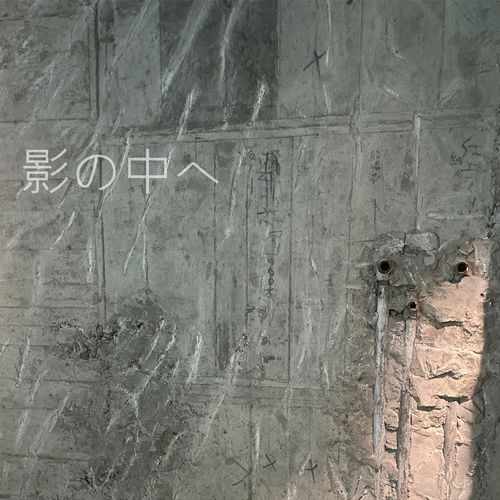 In to the shadow (Alternative take) cover art