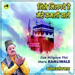 Jise Milgaye Hai Mere Kamliwale (Qawwali)