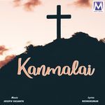 Aaveeyai Mazhai Pola