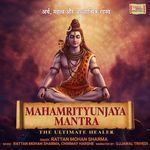 Mahamrityunjaya Mantra - The Ultimate Healer