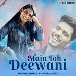 Main Toh Deewani artwork