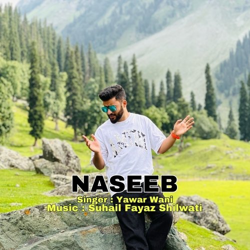 Naseeb