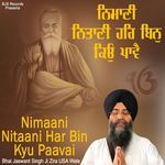 Nimaani Nitaani Har Bin Kyu Paavai artwork