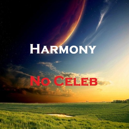 No Celeb