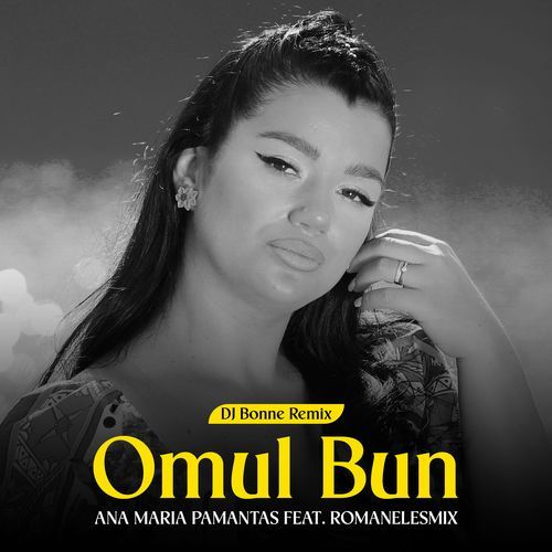 Omul bun (Dj Bonne Remix)_poster_image