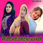 मेरी चौङी भाङी उथरी दो फूट अधर मेवाती