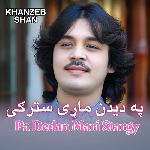 Pa Dedan Mari Stargy