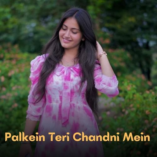 Palkein Teri Chandni Mein