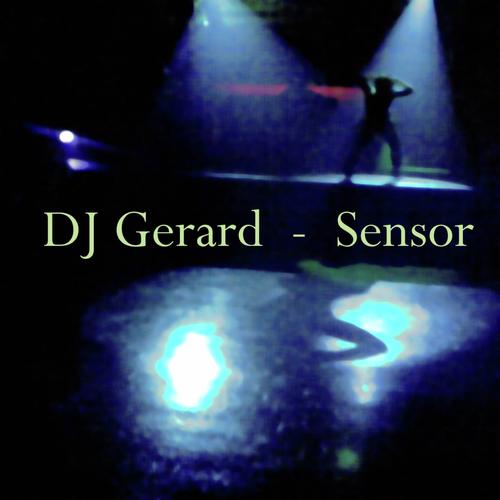 Sensor