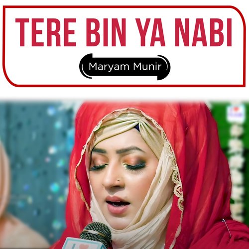 Tere Bin Ya Nabi