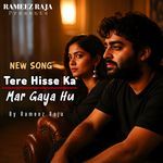 Tere Hisse Ka Mar Gaya Hu Main (Sad Song)