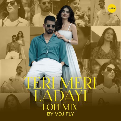Teri Meri Ladayi (Lo Fi)