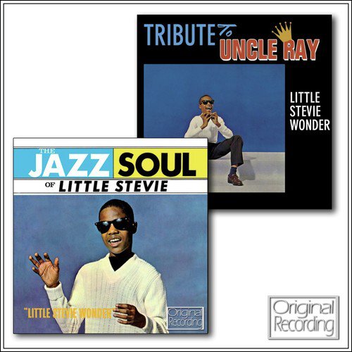 The Jazz Soul Of Little Stevie / Tribute To Uncle Ray