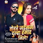 Tohre Jaisan Dulha Hamar Mile