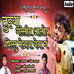 Tuzya Gallit Aaloy Pillu Bhetaya Yena G