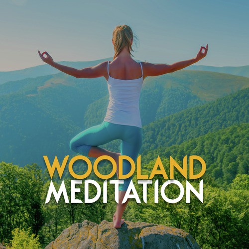 Woodland Meditation