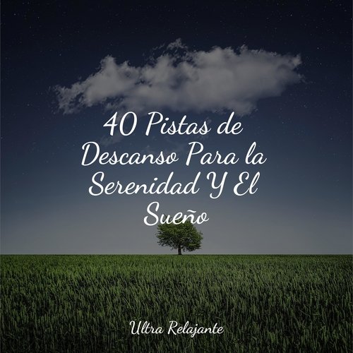 40 Pistas de Descanso Para la Serenidad Y El Sueño