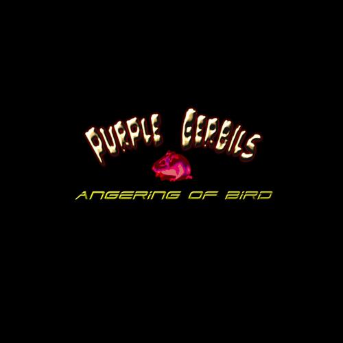 Angering of Bird cover art