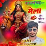 Bar Bar Mai Narkhu Mela Dhola Toliya Ton