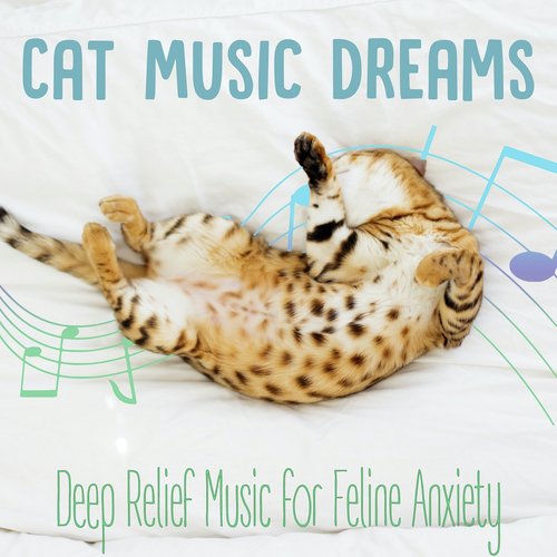 Cat Music Dreams : Deep Relief Music for Feline Anxiety