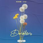 Dandelions