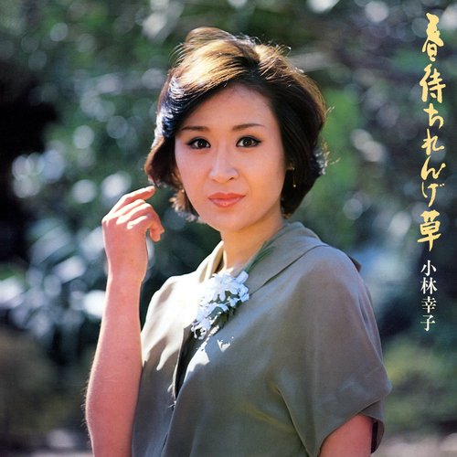 Hisashiburi Damono cover art