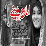 Jerry Dil Wich Rakh De Ne Arman Madine De (Lofi-Mix) artwork