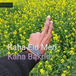 Kaha Eid Meri Kaha Bakrid