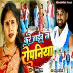 Kare Jaib Na Ropaniya