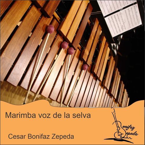 Plácido Guzmán cover art