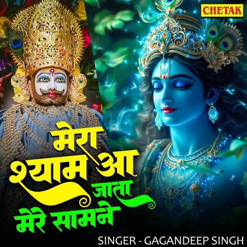 Mera Shyam Aa Jata Mere Samne