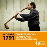 Concerto for Basset Clarinet and Orchestra in a Major, K. 622: I. Allegro