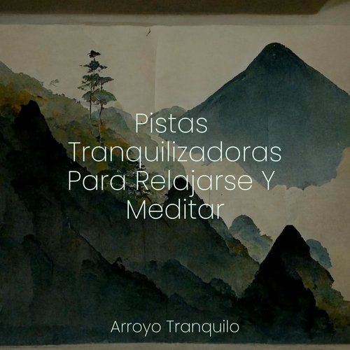 Viento del Sur cover art