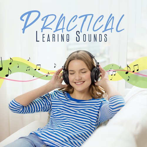 Practical Learing Sounds: Calm Music to Study, BGM to Study_poster_image