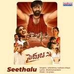 Seethalu (From &quot;Saidulu&quot;)