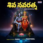 Shiva Navarathna