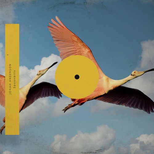 Spoonbills cover art