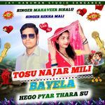 TOSU NAJAR MILI BAYELA HEGO PYAR THARA SU