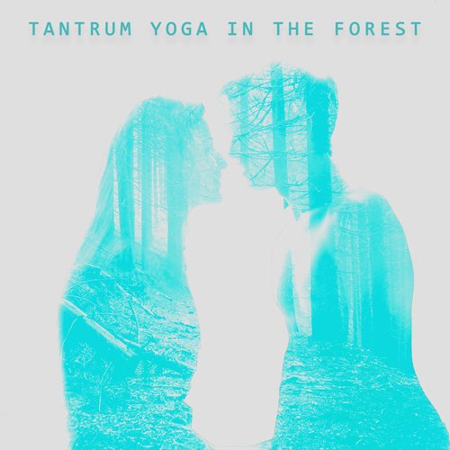 Relaxing Mantra cover art