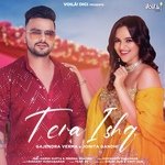 Tera Ishq