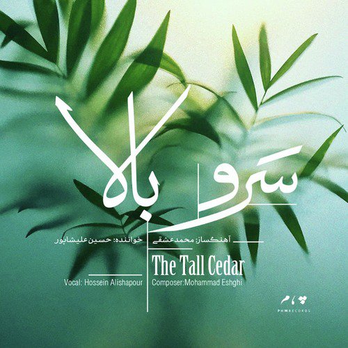 The Tall Cedar_poster_image