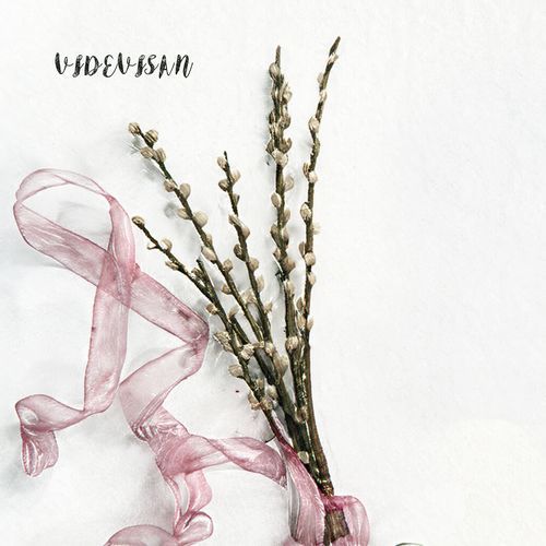 Videvisan cover art