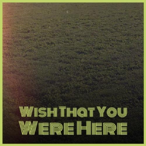 Wish That You Were Here