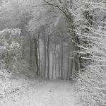 amour plastique (ambient version sped up)