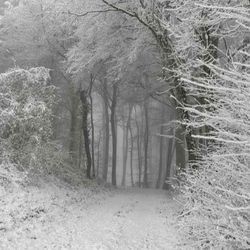 amour plastique (ambient version slowed)